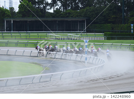 酷暑の中京ダート競馬 酷暑の中京ダート競馬 142248960