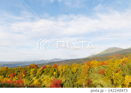 十勝岳望岳台から望む美瑛富士(秋の北海道) 十勝岳望岳台から望む美瑛富士(秋の北海道) 142248973