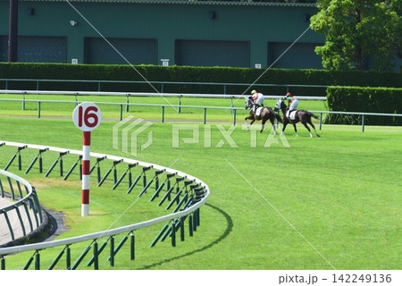 酷暑の中京競馬 酷暑の中京競馬 142249136
