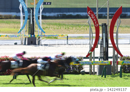 酷暑の中京競馬 酷暑の中京競馬 142249137