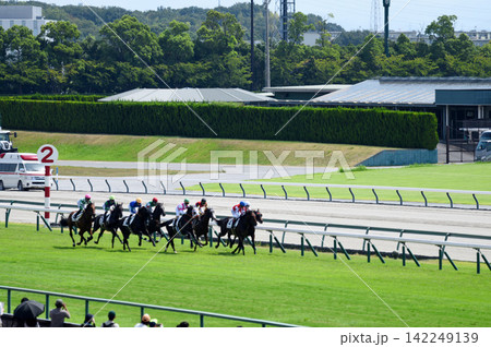 酷暑の中京競馬 酷暑の中京競馬 142249139
