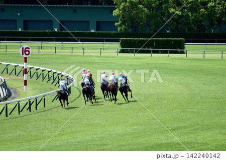 酷暑の中京競馬 酷暑の中京競馬 142249142