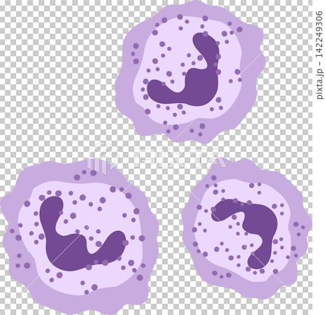 monocyte cell blood cell illustration 142249306