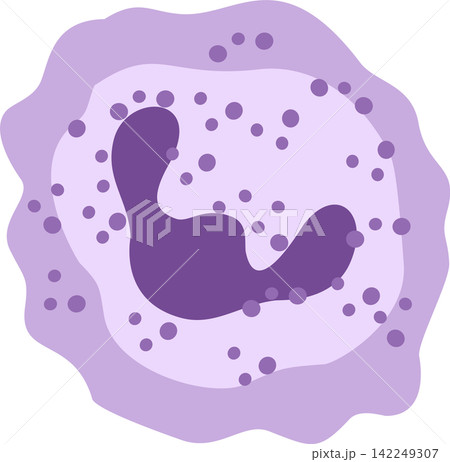 monocyte cell blood cell monocyte cell blood cell 142249307