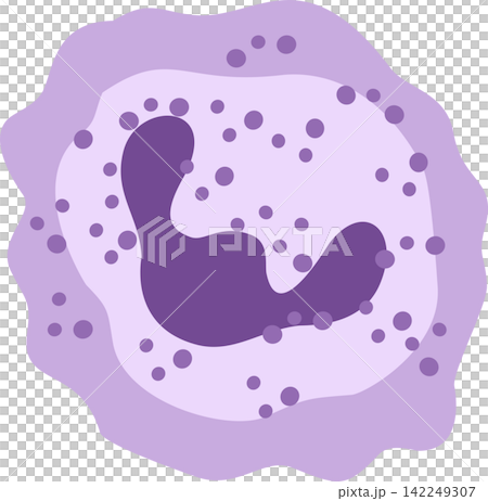 monocyte cell blood cell monocyte cell blood cell 142249307
