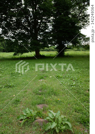 秋田県 大湯環状列石・野中堂配石遺構群 秋田県 大湯環状列石・野中堂配石遺構群 142249364