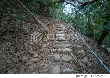 台湾小百岳No.35 火炎山登山ルートの風景 台湾小百岳No.35 火炎山登山ルートの風景 142250458