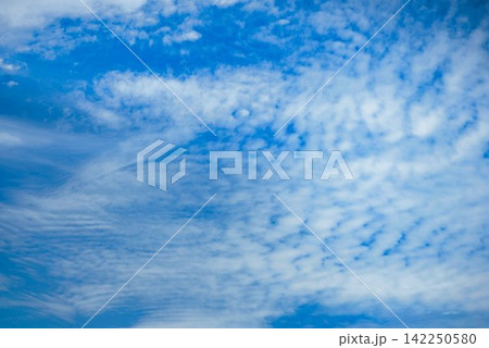 ​青空と雲の背景素材、爽やかな秋晴れ、コピースペース うろこ雲と美しい青空の背景テクスチャ 142250580