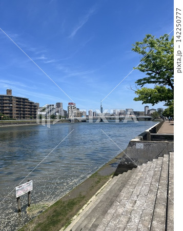 室見川と福岡タワーの風景(福岡市) 室見川と福岡タワーの風景(福岡市) 142250777