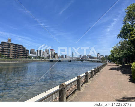室見川と福岡タワーの風景(福岡市) 室見川と福岡タワーの風景(福岡市) 142250778