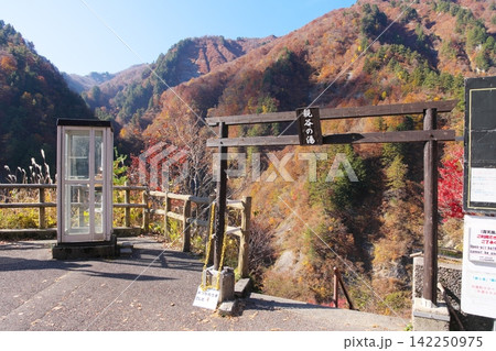 秋の白山白川郷ホワイトロード　蛇谷園地の入口 142250975