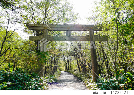 穂高神社鳥居 142251212