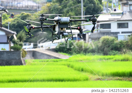 ドローンによる農薬散布 142251263