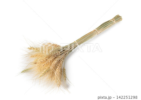 Ear of rye bundle isolated on a transprent background 142251298