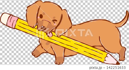 Cute Dachshund Back to School Dog Holding Pencil Cartoon Hand Drawn Cute Dachshund Back to School Dog Holding Pencil Cartoon Hand Drawn 142251633