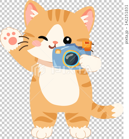Cartoon orange kitten photographer holding digital camera adorable pet mascot illustration for photography concept Cartoon orange kitten photographer holding digital camera adorable pet mascot illustration for photography concept 142251831