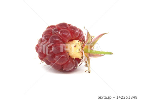 Fresh Single Raspberry Fruit With Green Stem Resting on a Clean White Surface Fresh Single Raspberry Fruit With Green Stem Resting on a Clean White Surface 142251849