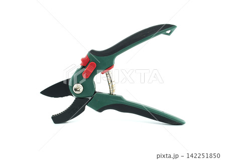 Ergonomic Garden Pruning Shears With Green Handles and Precision Blades for Horticultural Maintenance Tasks Ergonomic Garden Pruning Shears With Green Handles and Precision Blades for Horticultural Maintenance Tasks 142251850