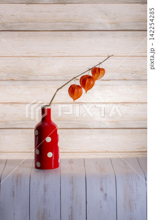 A physalis branch in a red vase against a background of wooden planks 142254285