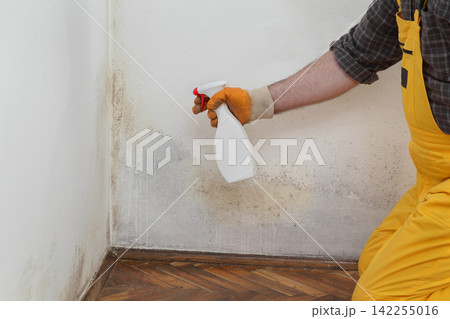 Worker cleaning mold from wall Worker cleaning mold from wall 142255016