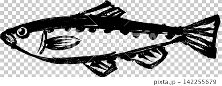 Japanese-style ink painting/sumi-e illustration of a sardine Japanese-style ink painting/sumi-e illustration of a sardine 142255679