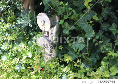 植木に水道管 142255744