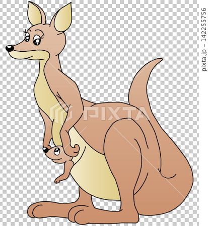 Hand-drawn animal illustration ☆ Mother and baby kangaroo Hand-drawn animal illustration ☆ Mother and baby kangaroo 142255756