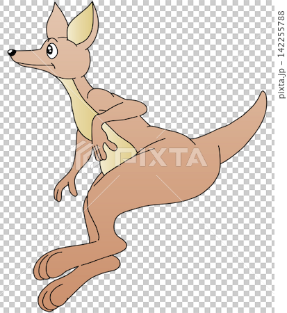Hand-drawn animal illustration ☆ Kangaroo Hand-drawn animal illustration ☆ Kangaroo 142255788