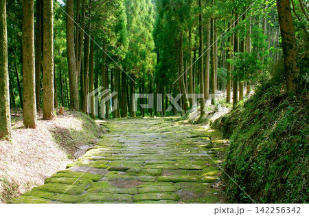 鹿児島県 龍門司坂 142256342