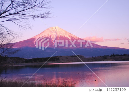 静岡県富士宮市、夕陽と田貫湖と「富士山」Pm4.49 142257199