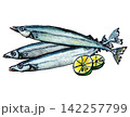 サンマ 142257799