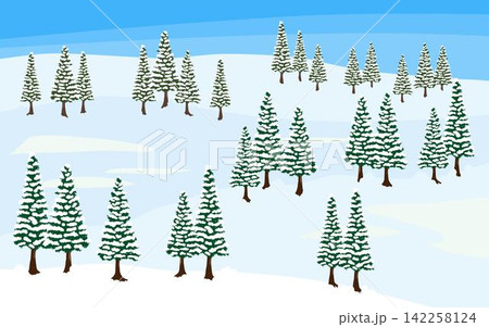 雪の積もった針葉樹の林 昼の風景 雪の積もった針葉樹の林 昼の風景 142258124