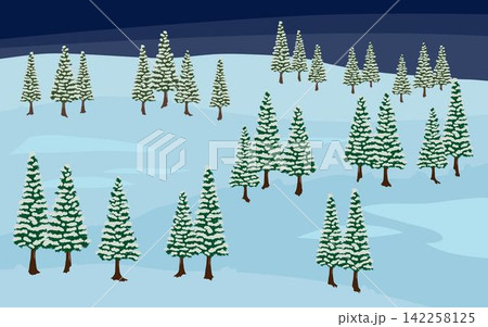 雪の積もった針葉樹の林 夜の風景 雪の積もった針葉樹の林 夜の風景 142258125