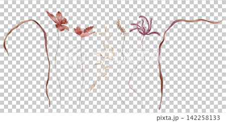 Hand-painted watercolor botanical set of isolated dried stems with rust red leaves, beige oval foliage, wispy fern buds, and a purple wildflower on white background. Minimalist floral collection. Hand-painted watercolor botanical set of isolated dried stems with rust red leaves, beige oval foliage, wispy fern buds, and a purple wildflower on white background. Minimalist floral collection. 142258133
