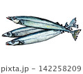 サンマ 142258209