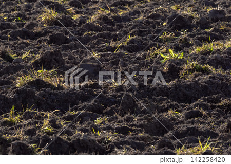 freshly plowed agricultural land texture background with rich dark fertile soil freshly plowed agricultural land texture background with rich dark fertile soil 142258420