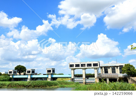 幸手市の権現堂調節池上空に広がる夏空 幸手市の権現堂調節池上空に広がる夏空 142259066