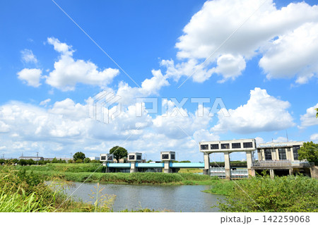幸手市の権現堂調節池上空に広がる夏空 142259068