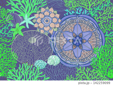 Colorful seamless marine pattern with corals Colorful seamless marine pattern with corals 142259099