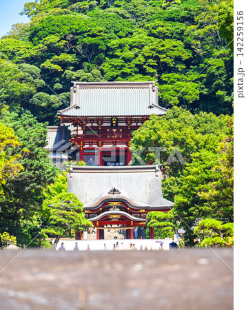 夏の鎌倉　鶴岡八幡宮　太鼓橋越しの舞殿と本宮 142259156