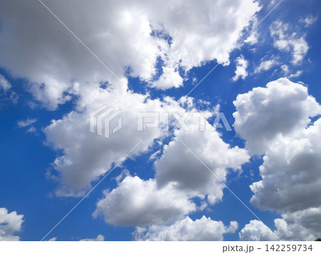 白い夏雲と広がる青空 白い夏雲と広がる青空 142259734