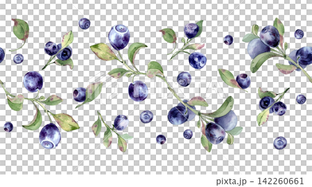 Bilberry and blueberry watercolor seamless border isolated. Fresh forest berry with green leaves horizontal pattern. Fruit repeat for wallpaper border, textile, wrapping paper, and packaging design. 142260661