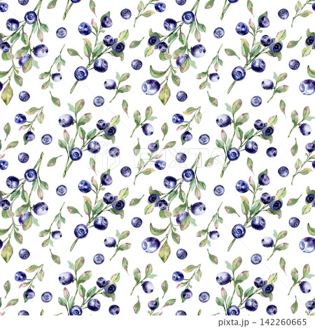 Bilberry and blueberry branches hand painted watercolor seamless pattern isolated white. Background with leaves and ripe berries for textile print, packaging. Fresh forest berries in soft blue tones. Bilberry and blueberry branches hand painted watercolor seamless pattern isolated white. Background with leaves and ripe berries for textile print, packaging. Fresh forest berries in soft blue tones. 142260665