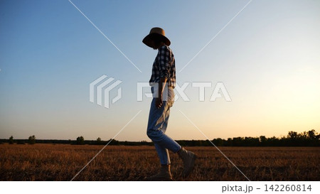 Adult agronomist in straw hat walking among barley plantation at dusk. Female farmer going through wheat meadow at sunset. Beautiful scenic landscape. Concept of agricultural business. Slow motion 142260814