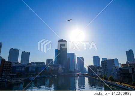 運河の水面に映る高層マンション群と青空の美しい景観 運河の水面に映る高層マンション群と青空の美しい景観 142260985