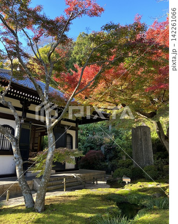 秋色に染まる寺院の庭園 142261066