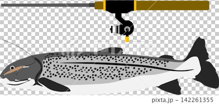 Fishing illustration Fishing illustration 142261355