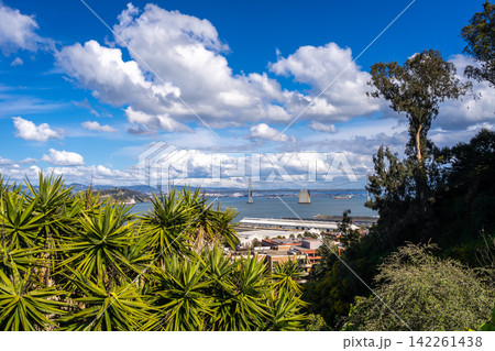 Panoramic view of San Francisco Bay and lush greenery, USA Panoramic view of San Francisco Bay and lush greenery, USA 142261438