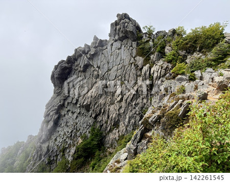 山梨県・金峰山、瑞牆山荘から千代ノ吹上を経て五丈石へ向かう登山道 山梨県・金峰山、瑞牆山荘から千代ノ吹上を経て五丈石へ向かう登山道 142261545