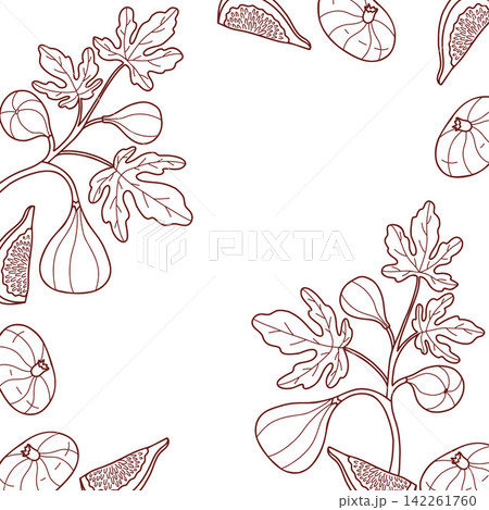 Fig Branch. Square Frame Card. Outline Exotic Food Twig with Ripe Fruit and Leaves on White Background. Botanical Border Template with Copy Space. Line Art Hand Drawn. Vector Illustration 142261760